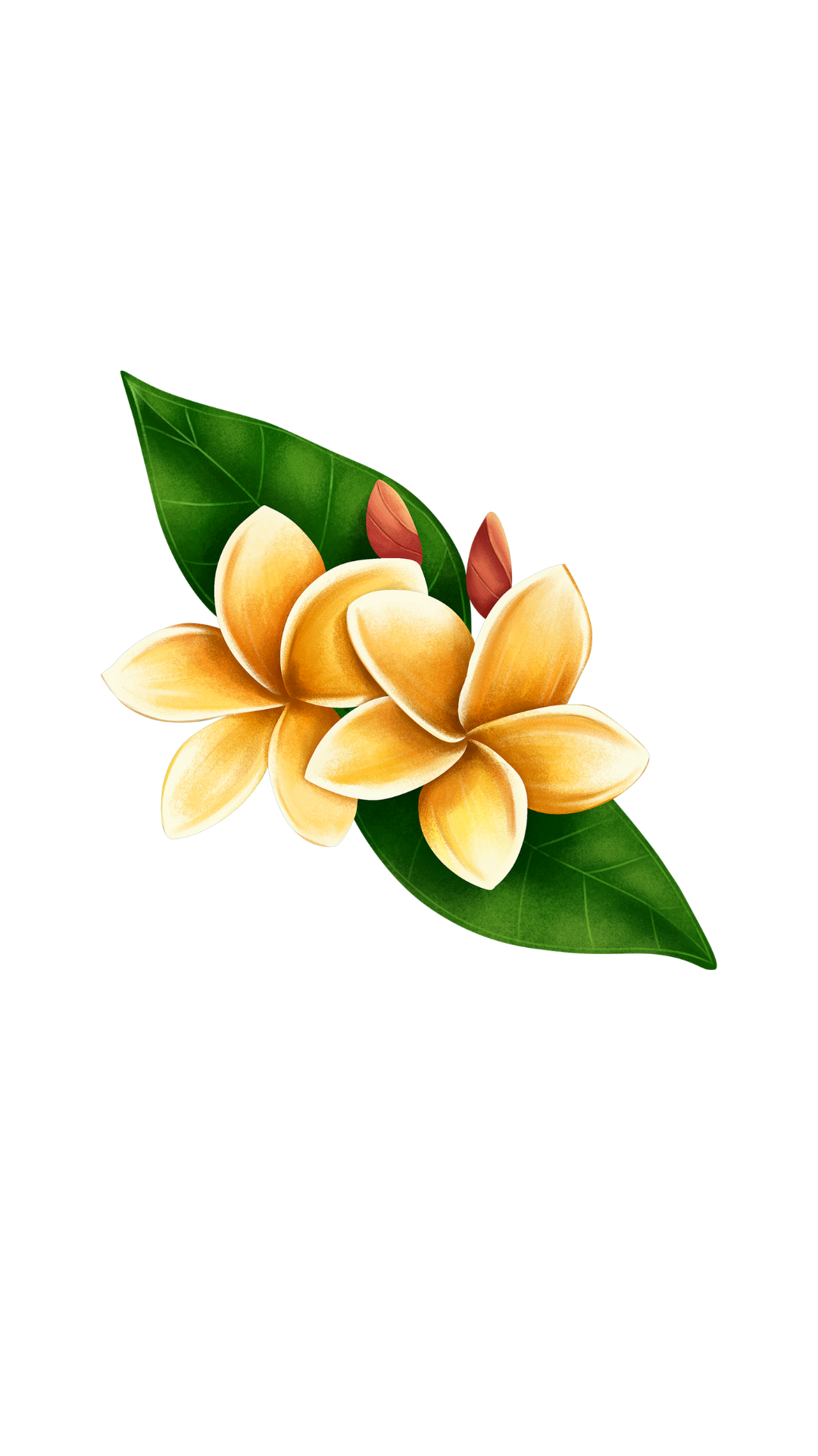 Dekorasi bunga kiri